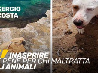 Sergio Costa Inasprire le pene per chi maltratta gli animali