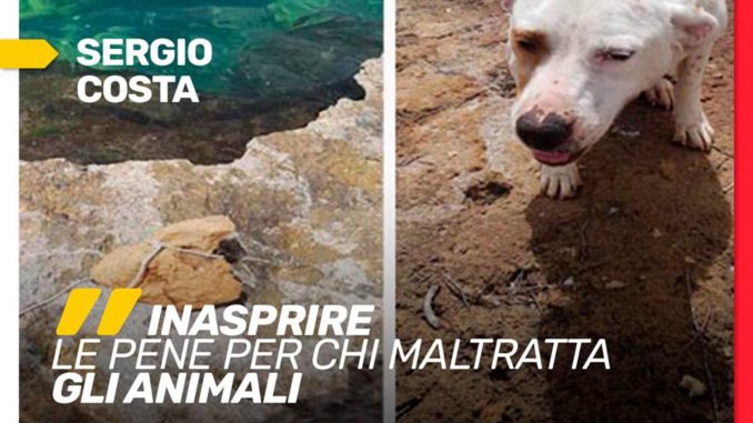 Sergio Costa Inasprire le pene per chi maltratta gli animali